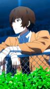 Bungo Stray Dogs. .