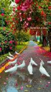 چه منظره زیبایی جای دنجی هست طبعت