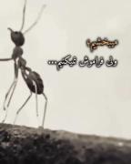 دلم برا مورچه هه سوخت...یاد خودم افتادم:))