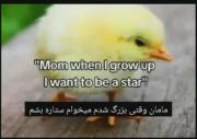 ستاره💤. . ‍