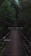 سبز رنگ نفسی است ،که زمین بعد از خستگی میکشد🌱(: