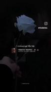 ‏وقتی بیشتر از سنت درگیر مشکلات بشی زندگی ازت آدم ساکت‌تری می‌سازه.