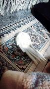 عروس هلندی / خنده دار / برفی 🪶