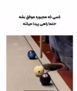 ..............................