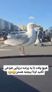 ـــــــــــــــــــــــــــــت
