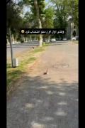 وقتی اول اون منو انتخاب کرد ..