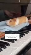 چه خوشگل زد.................))