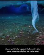 انرژی مثبت فراموش نشه:لایک و فالو☺