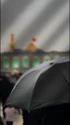 حسینی بمون.. حسینی بمیر❤️‍🩹 #امام_حسین