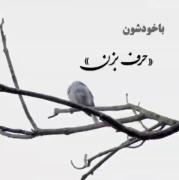 آدم ها وقتی ناخن هاشون بلند میشه اونارو کوتاه می کنن نه "انگشتاشونو"