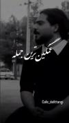 خواهش میکنم لاشی بودن رو عادی سازی نکنید🥀