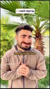براتون ایران کره اووردم🤣🤣🤣🤣🤣🤣🤣🤣