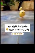 😂😂ناناصی های من توقع من این هست😂😂