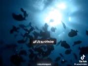 چشماتو باز کن و دهنتو ببند ..🗣