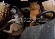 🤣🤣🤣🤣🤣راست میگه واقعاً 🤣🤣🤣🤣🤣