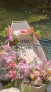 جوری که به دوستم مشاوره میدم🥰🥳. جوری که هستم 😡💢💥