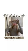ایده بیو از لییریک آهنگا 🙃 اندوه تابستانه