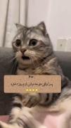 یآح‌یآح‌هَمینه‌کِه‌هَس😂🙌🏻