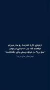 از وقتی که دارم عقایدم رو جار میزنم فهمیدم که. . . 