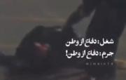 شغل: دفاع از وطن. جرم: دفاع از وطن. . . 