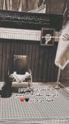 او را همچو حسین هنگام اعلام شهادتش هلهله میکردند.. 🖤💔