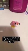 چقدر ناز شد..........😂😄)))))