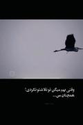 دیگه‌یاد‌گرفتم‌نگردم‌د‌ُنبال‌کسی‌که‌از‌قصد‌گُمم‌کرده!🖤