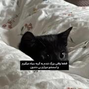 بی دندون 🙃 🤌🏻 ✨