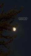 . م‍‌ش‍‌ت‍‌رک م‍‌ورد ن‍‌ظ‍‌ر داغ‍‌ون م‍‌ی‍‌ب‍‌اش‍‌د🌖