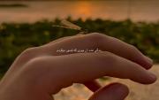 زندگی نشد آن چیز که تصور میکردم ؛