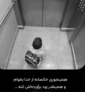 خدا پشت پناهدهندتان اعتماد به خدا 