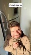 میکی کلافه باحاله لایک نداره هان