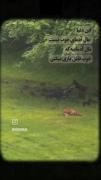 واقعیت 👌✨‌ ‌ ‌ ‌ ‌ ‌ ‌ ‌ ‌ ‌ ‌ 