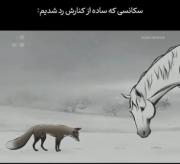 خیلی ساده از کنار این سکانس رد شدیم...👀