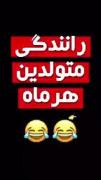 ..............................