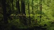 ریشه میخواهد 💚