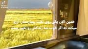  ‌‌‌ ‌ ‌ ‌ ‌ ‌ ‌‌‌‌ ‌‌‌‌ ولی تو؟