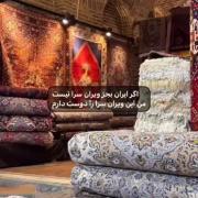 من این ویران سرا را دوست دارم🛐