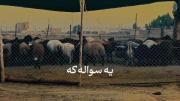 آیا بینش کم از بیم شکمه؟....💤