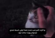 ‌‌میدونم روز سختی داشتی...🫠‌‌