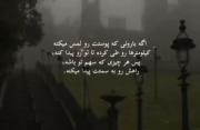 امیدوارم راهتو خیلی زود پیدا کنی من منتظرم🤎