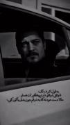 به قول اشرف تک: تا وقتی ذوقـتو دارم پیـگرت هسـتم...! 