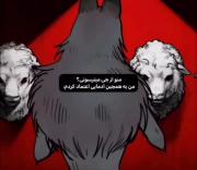 شاید .