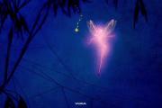 شب بخیر مهربون🌛☁️‌‌ ‌‌ ‌‌‌ ‌‌ ‌‌‌ ‌‌ ‌‌‌ ‌‌ ‌