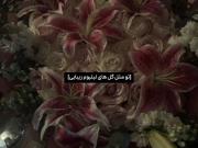 آره، خودِ تو! 🫵🏻🎀‌‌‌‌‌‌‌‌‌‌‌‌