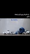 یه دختر میتونه رزمی کار باشه :)