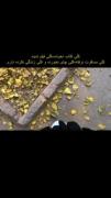 ما از آنانی که بهشون دلداری میدادیم،غمگین‌ تر بودیم.