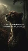 طبق یه افسانه قدیمی که مادربزرگای سرخ پوست تعریف میکنن 