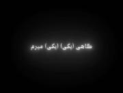‌ ‌ ‌ ‌ ‌ ‌ ‌ ‌ ‌ ‌ ‌ ‌ ‌ ‌ ‌ ‌ 