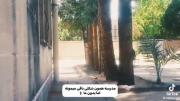 ولی خاطرات ؛